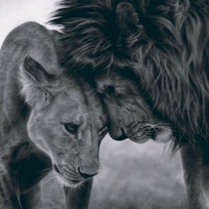 Meet your Posher, Claudette